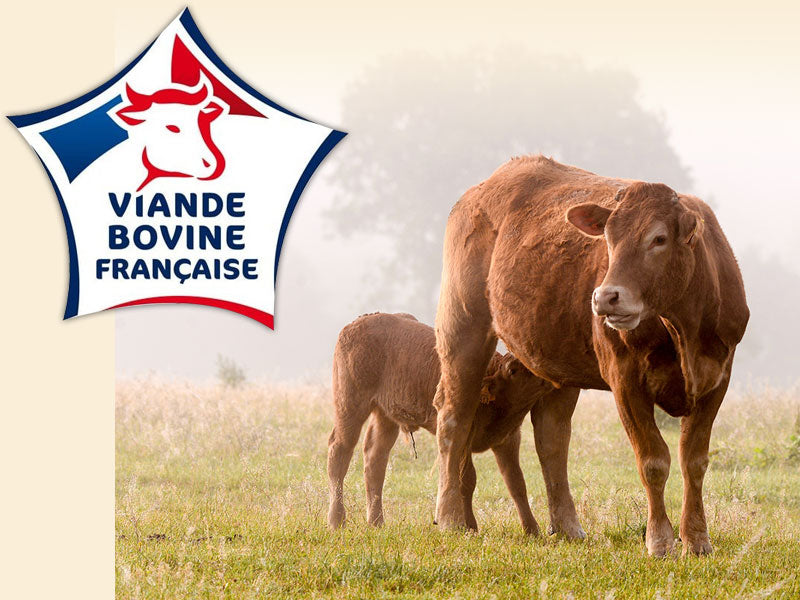 Eine Kuh mit ihrem Kalb stehen auf einer Weide und das Logo Viande bovine francaise wird dargestellt