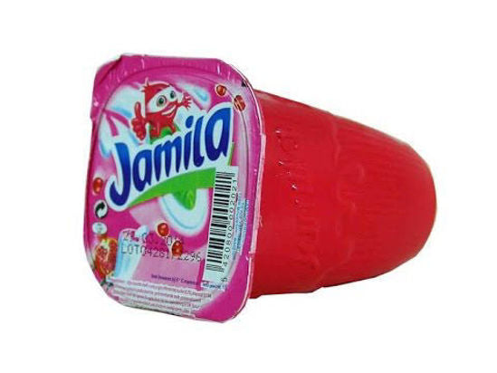 RAIBI JAMILA 170g  IN 4 UND 24 STÜCK MAROKKANISCHER GRANATAPFEL-JOGHURT DRINK