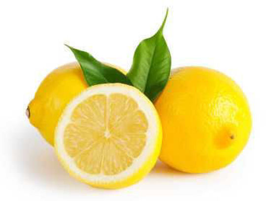 Zitronen "Primofiori" Rosegar 3 Stück