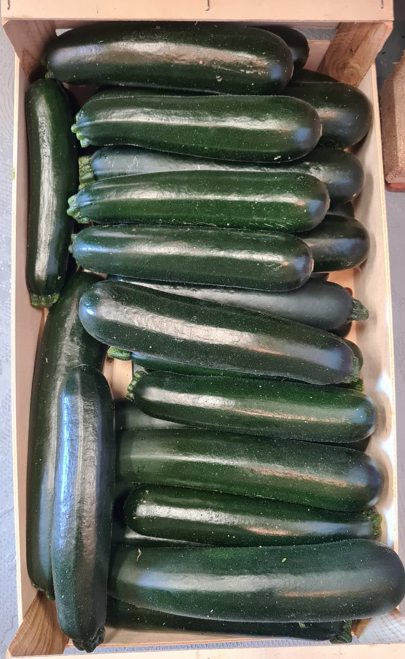 Zucchini Grün 500g